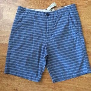 American Eagle Blue Striped Shorts